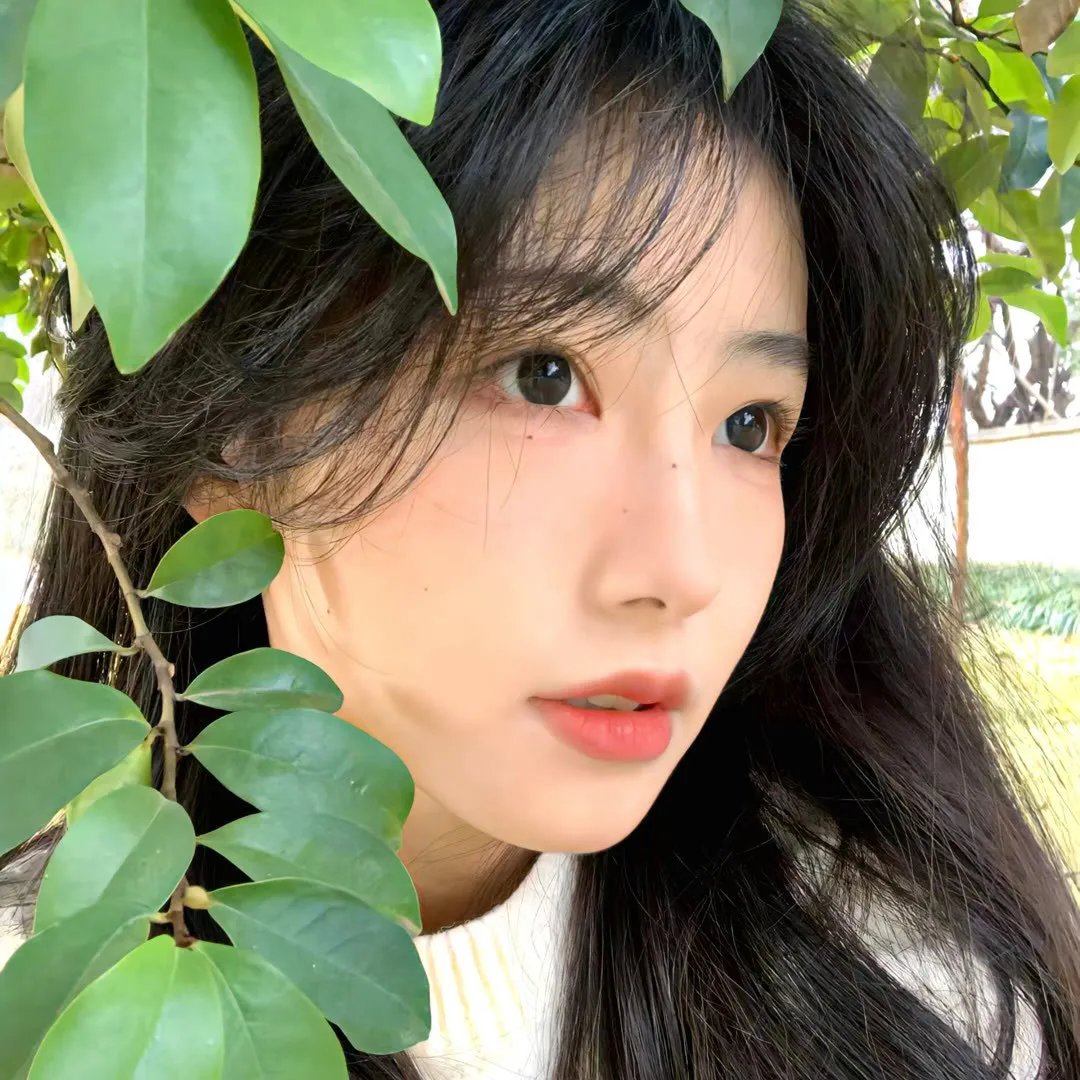 拳皇